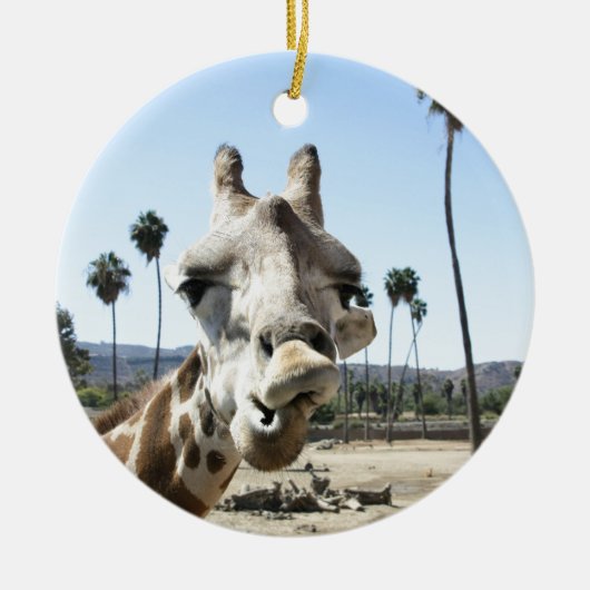 San Diego zoo Keramisch Ornament (Voorkant)