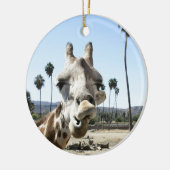 San Diego zoo Keramisch Ornament (Links)