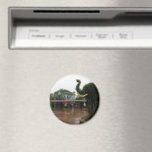 San Diego Zoo Magneet (Insitu (Vaatwasser))