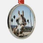 San Diego zoo Metalen Ornament (Rechts)