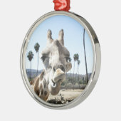 San Diego zoo Metalen Ornament (Links)
