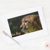 San Diego zoo Rechthoekige Sticker (Envelop)