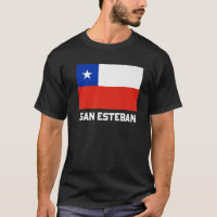 San Esteban Republica Chili Vlag Emblem Escudo Ban