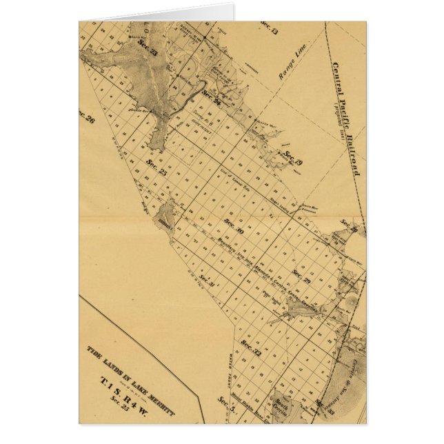 San Francisco Bay Salt Marsh (Voorkant)