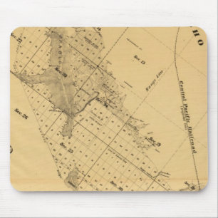 San Francisco Bay Salt Marsh Muismat