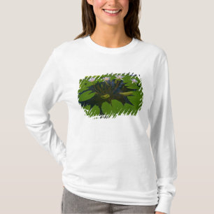 San Francisco Californië's Golden Gate Park en T-shirt