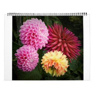 San Francisco Dahlias 2022 Kalender