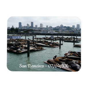 San Francisco en Pier 39 Zee Lions City Skyline Magneet