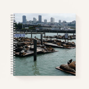 San Francisco en Pier 39 Zee Lions City Skyline Notitieboek