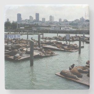 San Francisco en Pier 39 Zee Lions City Skyline Stenen Onderzetter