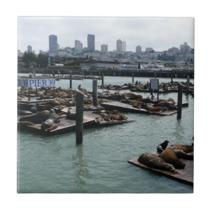 San Francisco en Pier 39 Zeeleeuwen Stadssilhouet Tegeltje