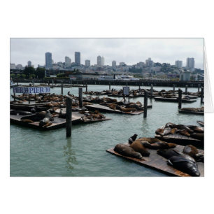 San Francisco et Otaries de Pier 39 Ciel de la Vil