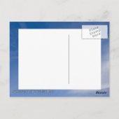 San Francisco Gull Briefkaart (Achterkant)