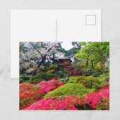 San Francisco Japanese Tea Garden #12 Carte postal (Devant / Derrière)