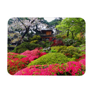 San Francisco Japanse Tea Garden #12 Magnet Magneet