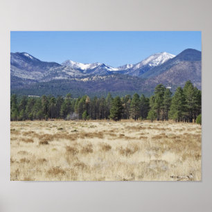 San Francisco Peaks - Flagstaff, affiche de l'Ariz