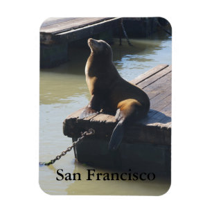San Francisco Pier 39 Zee Lion #2 Magnet Magneet