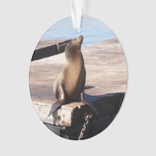 San Francisco Pier 39 Zee Lion Kerstversiering Ornament (voorkant)