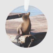 San Francisco Pier 39 Zee Lion Kerstversiering Ornament (voorkant)
