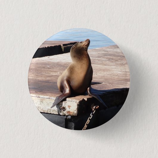 San Francisco Pier 39 Zee Lion Pinback Button (Voorkant)