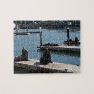 San Francisco Pier 39 Zee Lons #3 Jigzaag Puzzle Legpuzzel