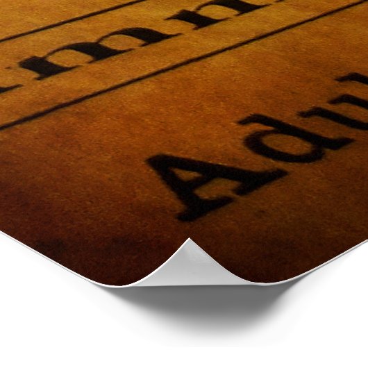 SAN FRANCISCO SUTRO BATHS OPEN 1897 POSTER (Hoek)