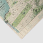 San Francisco Tissuepapier (Detail)