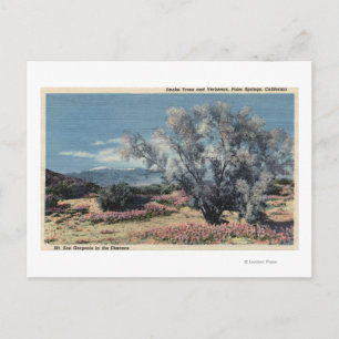 San Gorgonio Uitzicht, Rookbomen Briefkaart