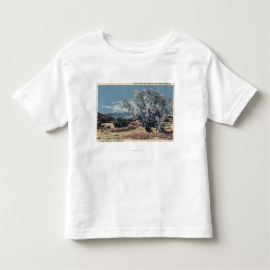 San Gorgonio Uitzicht, Rookbomen Kinder Shirts (Voorkant)