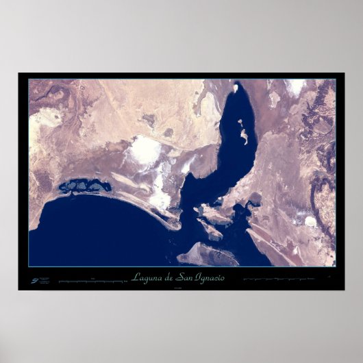 San Ignacio Lagoon, Baja CA Sur, Mexico-poster Poster (Voorkant)