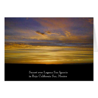 San Ignacio Lagoon Sunset