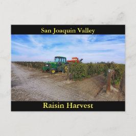 San Joaquin Valley Raisin Harvest Briefkaart