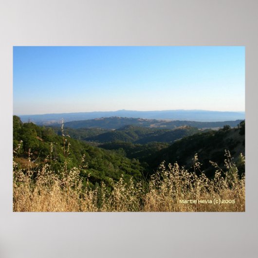 San Jose Foothills droog gras Poster (Voorkant)