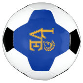 San Jose State Love (Tourné)