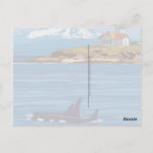 San Juan-eilanden Briefkaart (Achterkant)