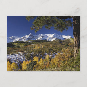 San Juan Mountains en Espenbomen in herfstkleuren Briefkaart