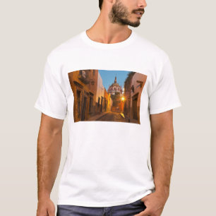 San Miguel de Allende, Mexico. Credit als: Nancy T-shirt