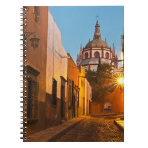 San Miguel de Allende, Mexico. Credit: Nancy Notitieboek