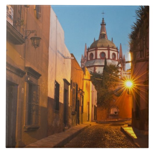 San Miguel de Allende, Mexico. Krediet als: Nancy Tegeltje (Voorkant)