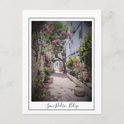 San Pedro Ambergris Caye Belize Carte postale (Devant)