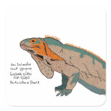 San Salvador Rotsleguaan Sticker