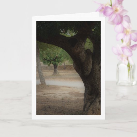 San Vicente Park Lliria Kaart (Orchidee)