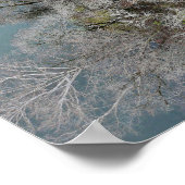 Sanatoga Bossen Schuylkill Poster (Hoek)