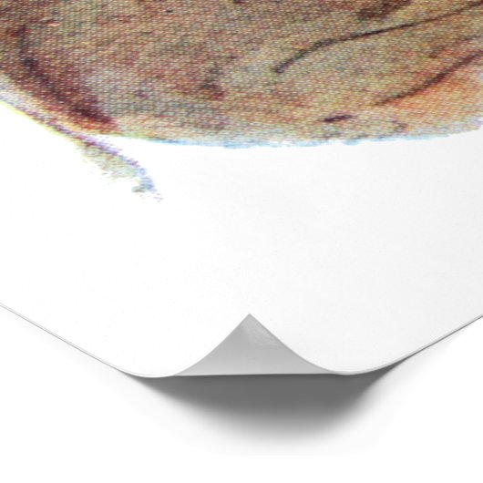  Sancho Panza Don Quixote Poster (Hoek)