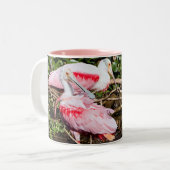 Sanctuaire de spatule : Gemmes cachées Mug (Devant gauche)