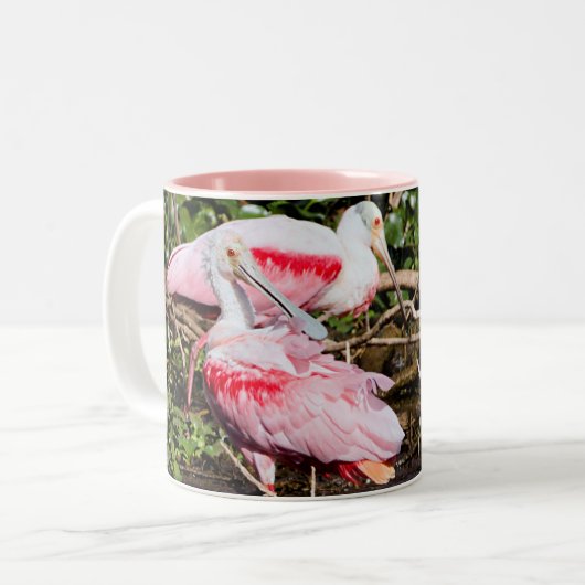 Sanctuaire de spatule : Gemmes cachées Mug (Devant gauche)