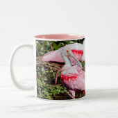 Sanctuaire de spatule : Gemmes cachées Mug (Gauche)