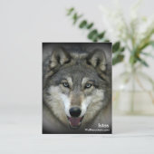 Sanctuaire de Wolf Mountain - Carte postale Istas (Debout devant)