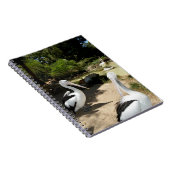 Sanctuaire pélican, Carnet (Côté Droit)