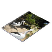 Sanctuaire pélican, Carnet (Côté gauche)